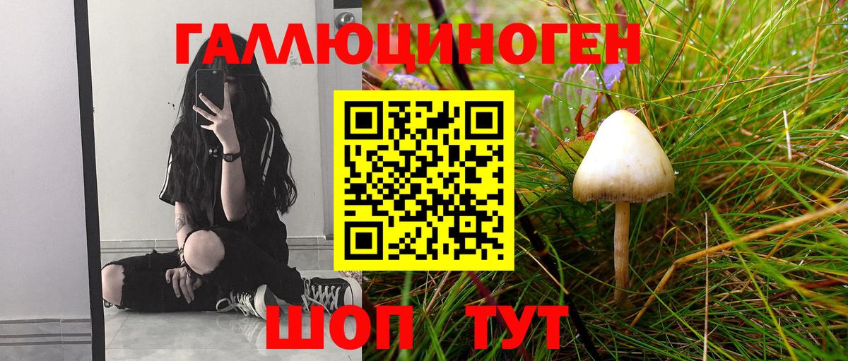 Корсаков  Псилоцибиновые грибы Psilocybe  Вход с VPN 